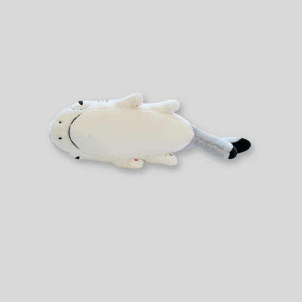 Sharkitty Plush 3