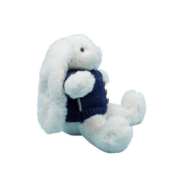 Mei Mei The Bunny Plush 5