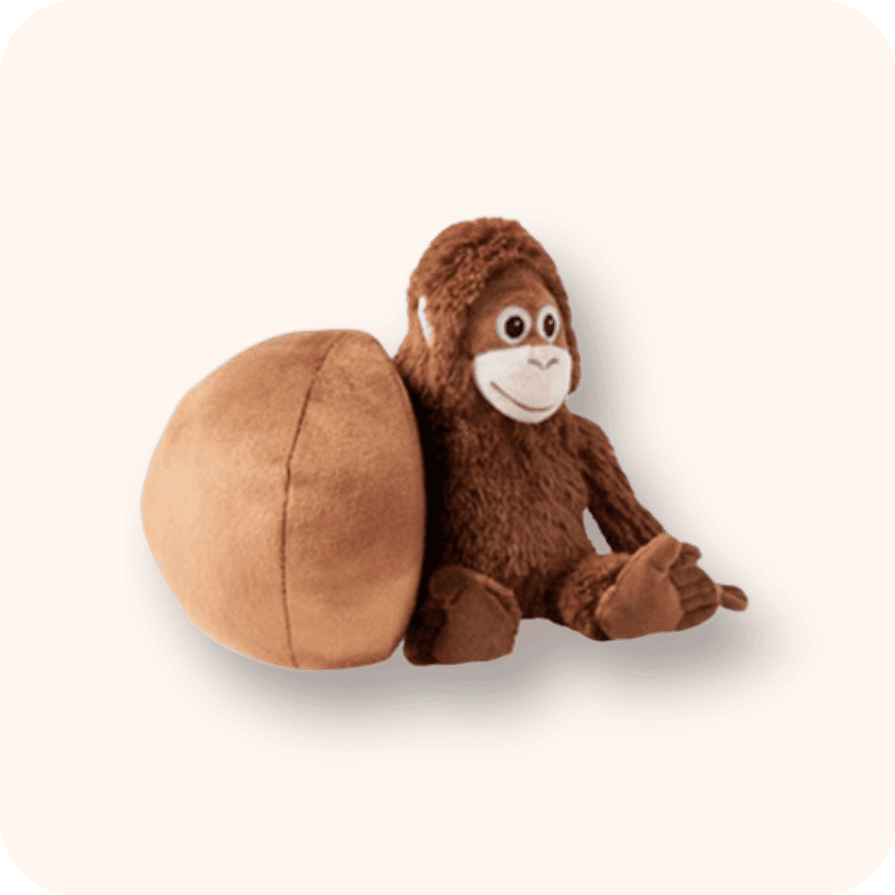 Orangutan-Ball-Plush-bg-1763974379.png Orangutan Ball Plush bg 1763974379