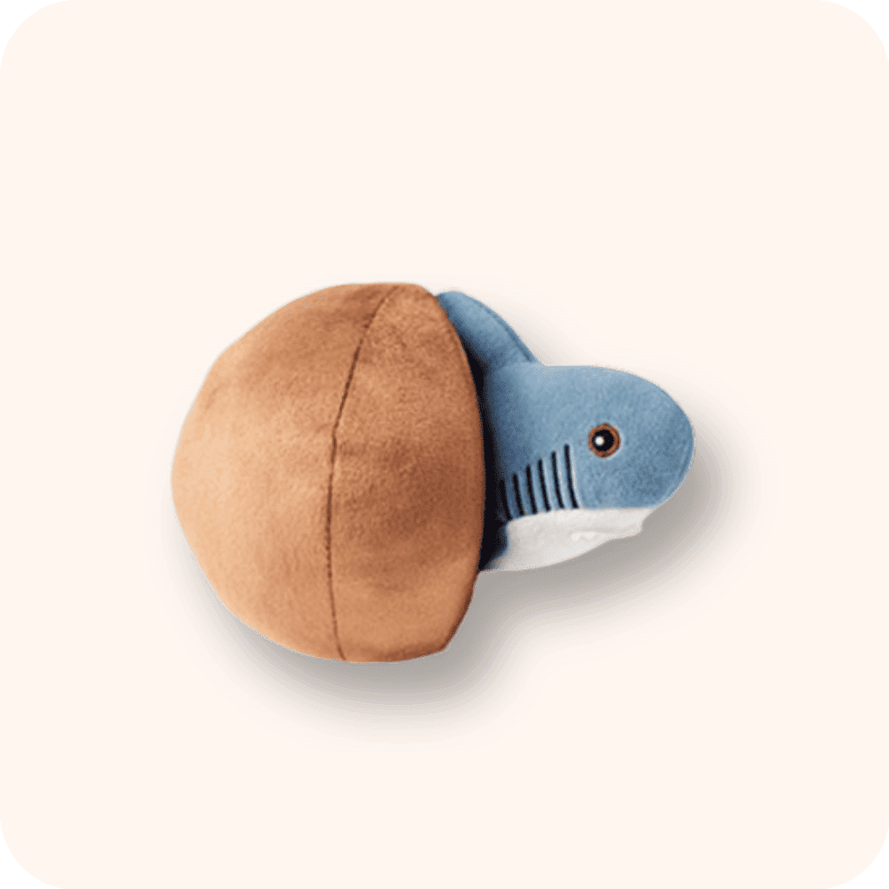 Shark-Ball-Plush-bg-1763974377.png Shark Ball Plush bg 1763974377