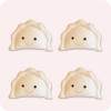 Pierogi Pillow 4PCS bg 1771178904